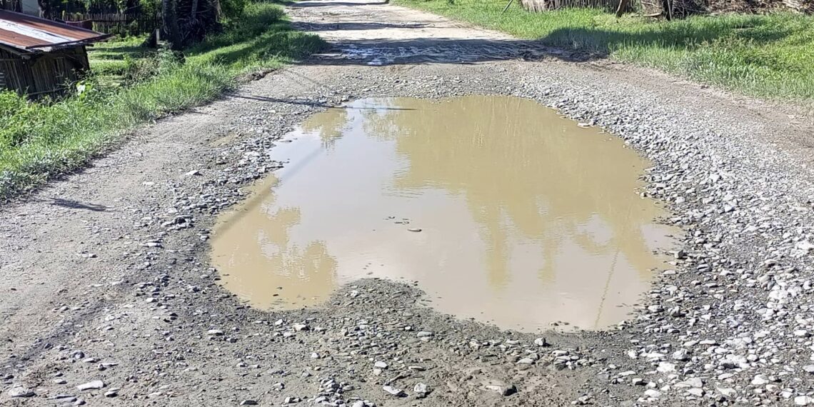 वराहक्षेत्र नगरपालिका वडा नम्बर २ र ७ जोडिने उप्रेती चाैक देखि रेल्वे बुद्ध चाैक सम्मको बाटो जीर्ण बन्दै